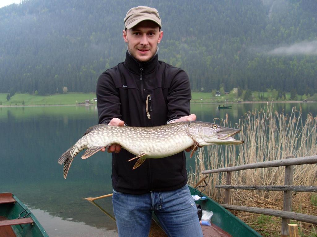 Ferienwohnungen Mitterer Weissensee Bagian luar foto